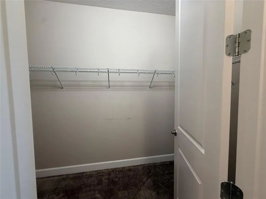 3060 Mountain Spruce Terrace Wesley Chapel FL 33543