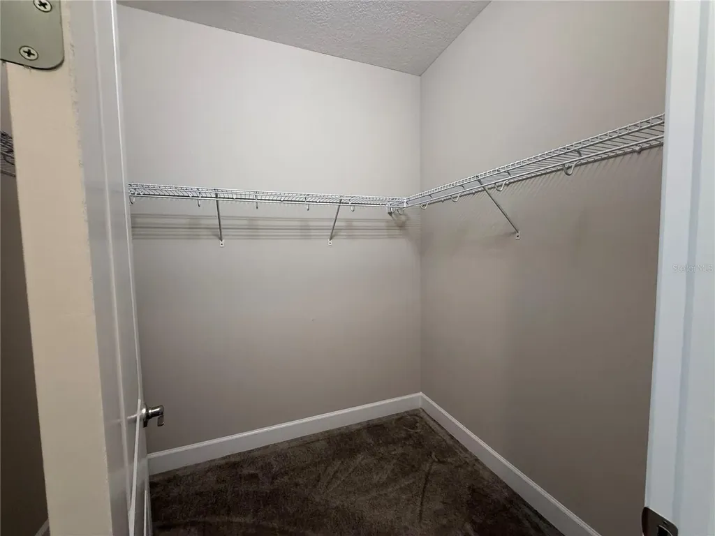 3060 Mountain Spruce Terrace Wesley Chapel FL 33543