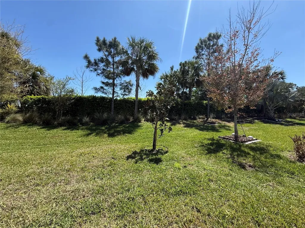 3060 Mountain Spruce Terrace Wesley Chapel FL 33543