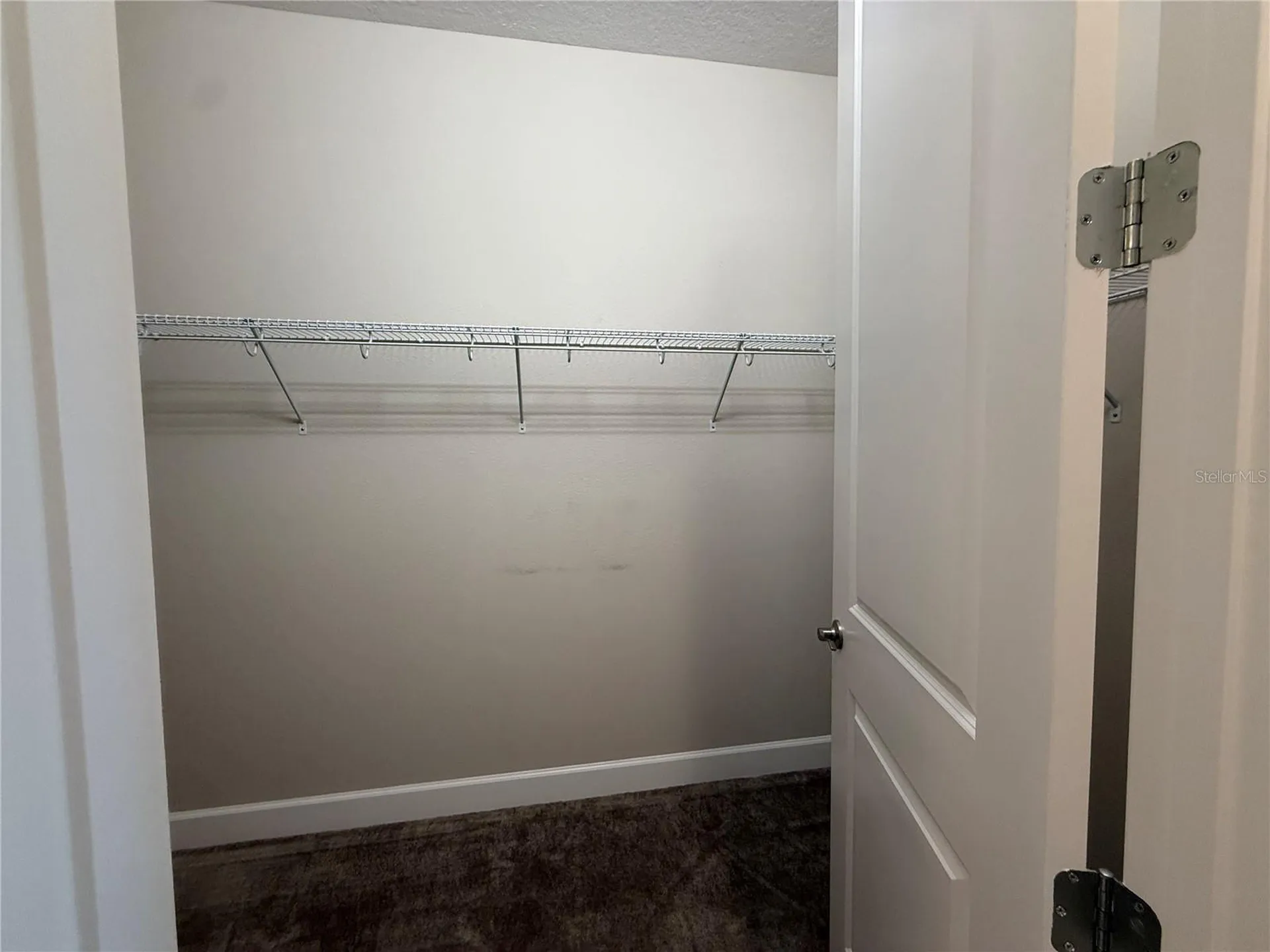 3060 Mountain Spruce Terrace Wesley Chapel FL 33543