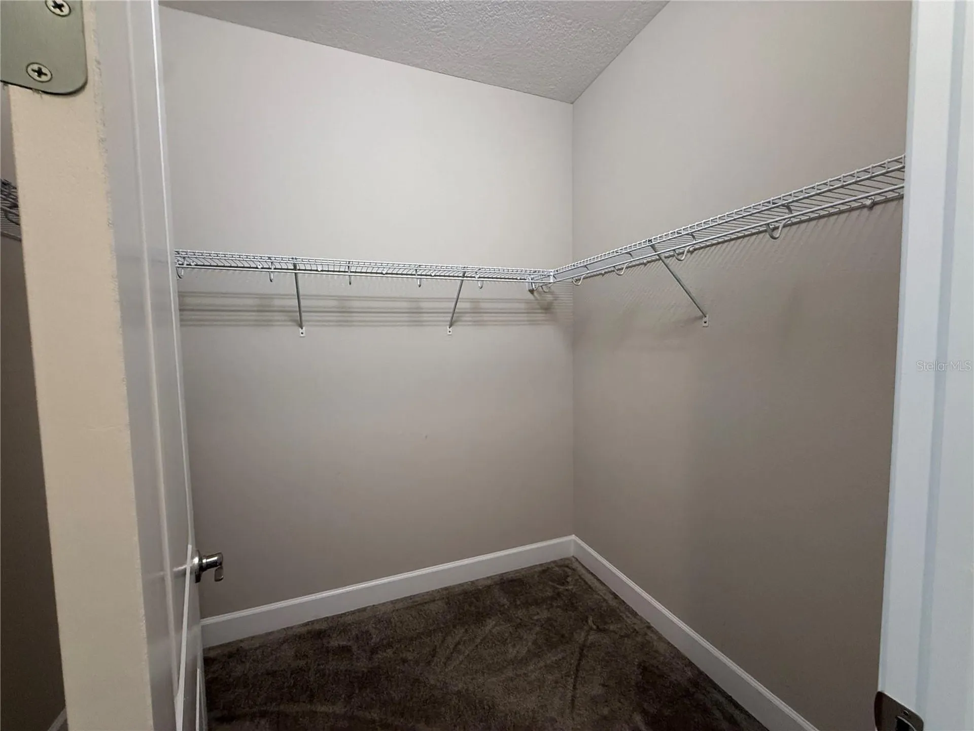 3060 Mountain Spruce Terrace Wesley Chapel FL 33543