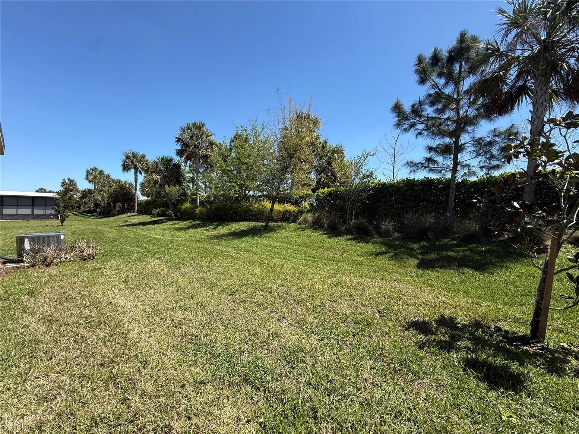 3060 Mountain Spruce Terrace Wesley Chapel FL 33543