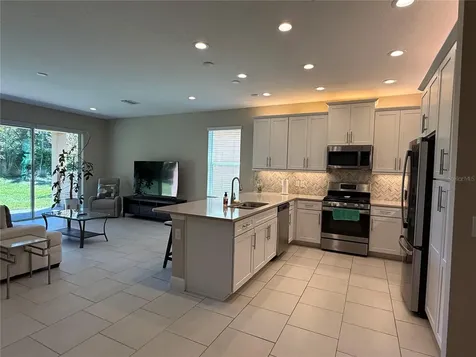 3060 Mountain Spruce Terrace Wesley Chapel FL 33543