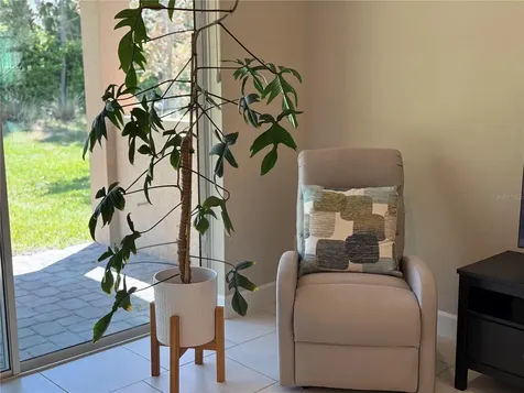 3060 Mountain Spruce Terrace Wesley Chapel FL 33543