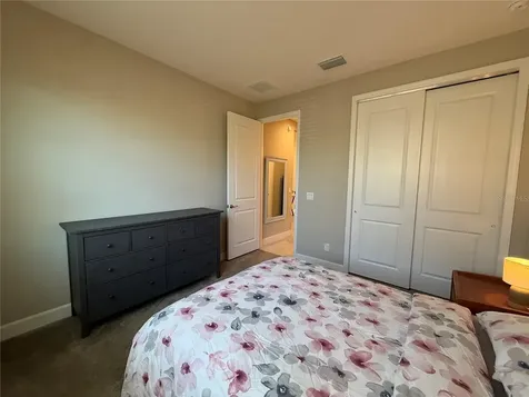 3060 Mountain Spruce Terrace Wesley Chapel FL 33543