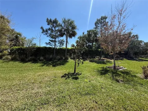 3060 Mountain Spruce Terrace Wesley Chapel FL 33543