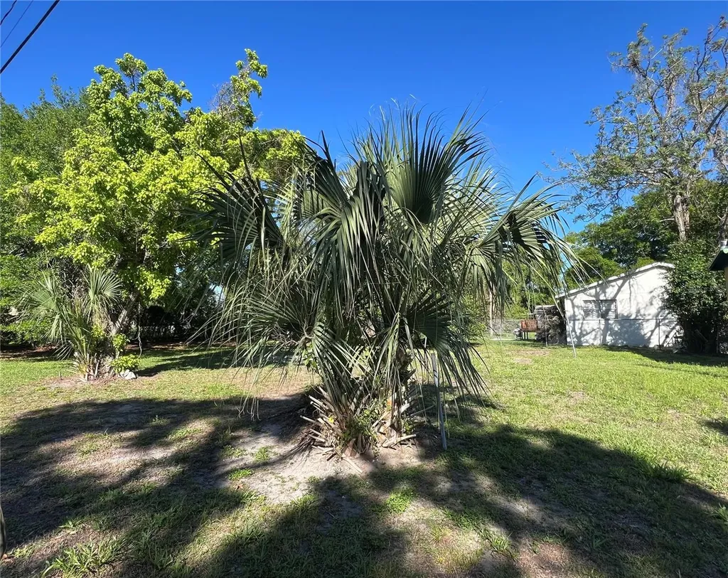 10105 N 16 Street Tampa FL 33612