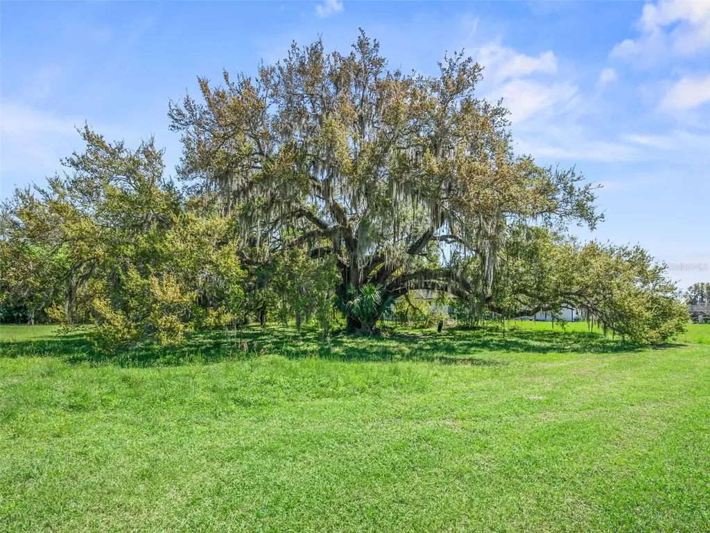 Tbd SE 24th Terrace Ocala FL 34480