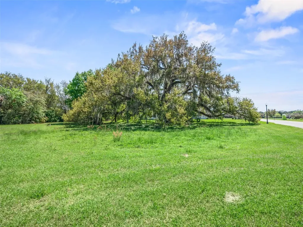 Tbd SE 24th Terrace Ocala FL 34480