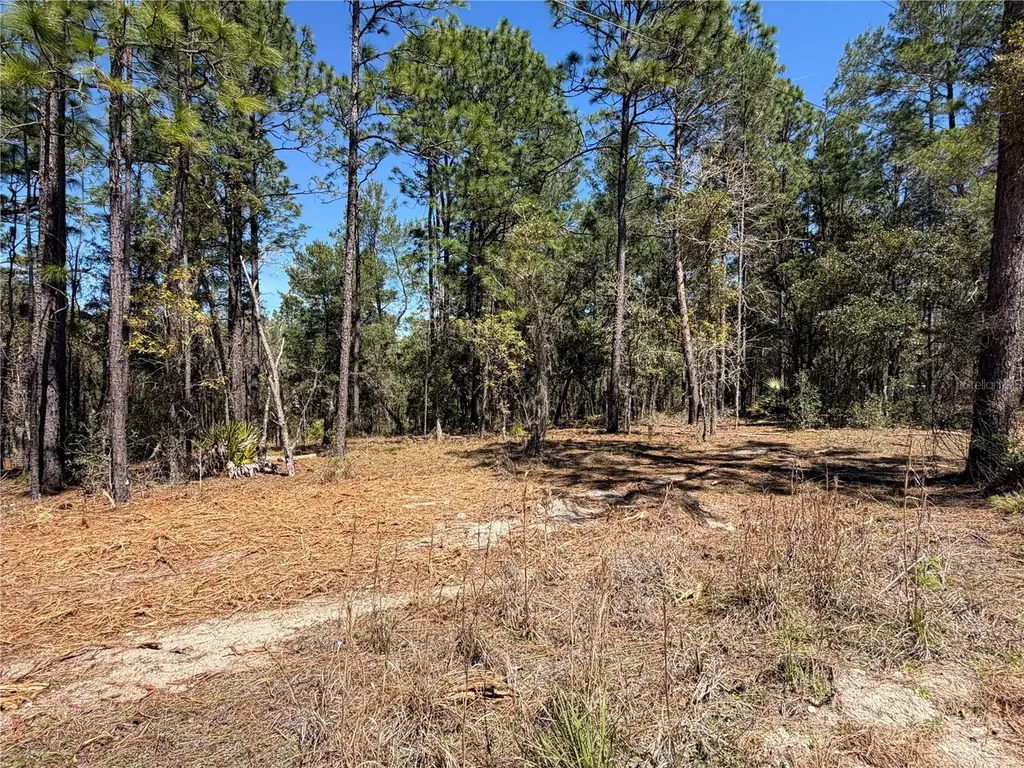 00000 SE 58th Place Morriston FL 32668