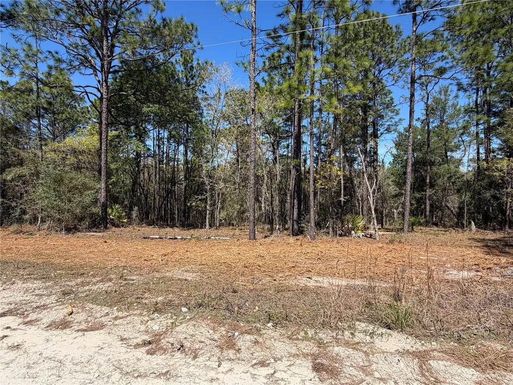 00000 SE 58th Place Morriston FL 32668