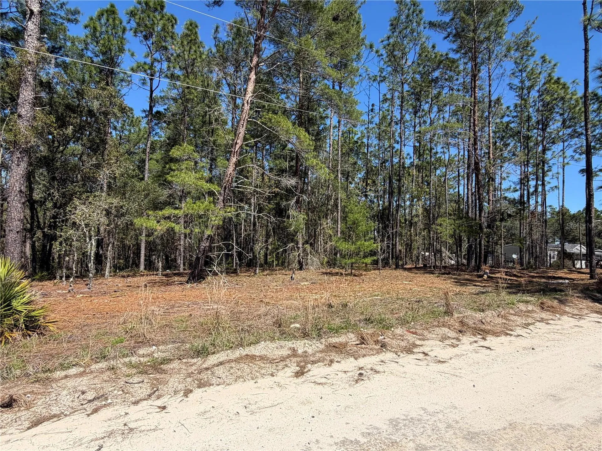 00000 SE 58th Place Morriston FL 32668