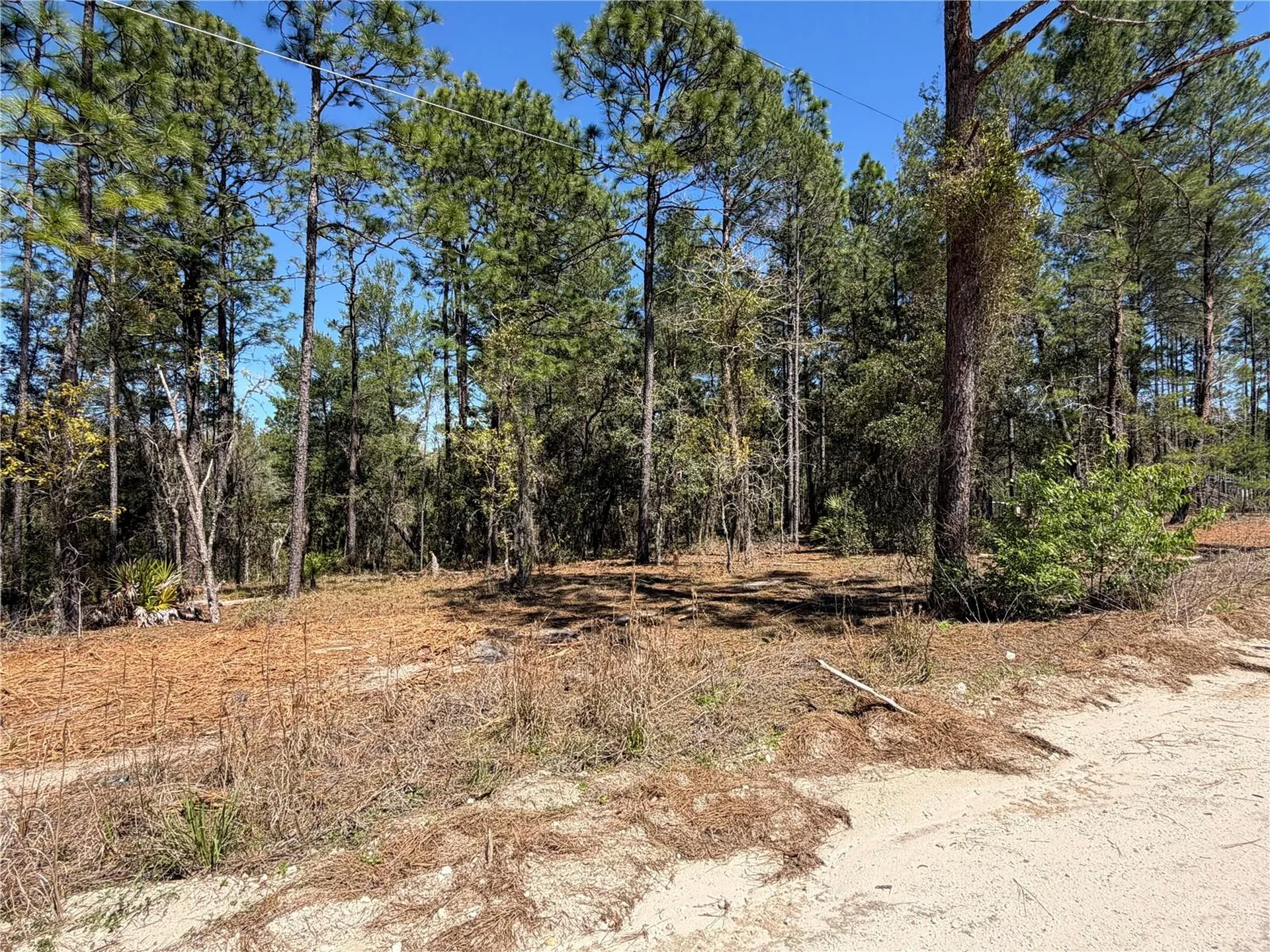 00000 SE 58th Place Morriston FL 32668