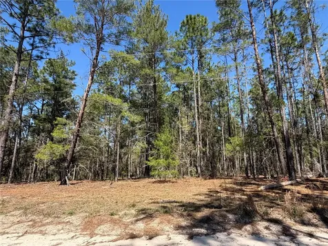 00000 SE 58th Place Morriston FL 32668