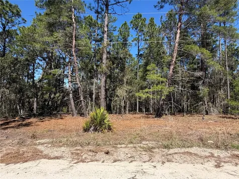 00000 SE 58th Place Morriston FL 32668