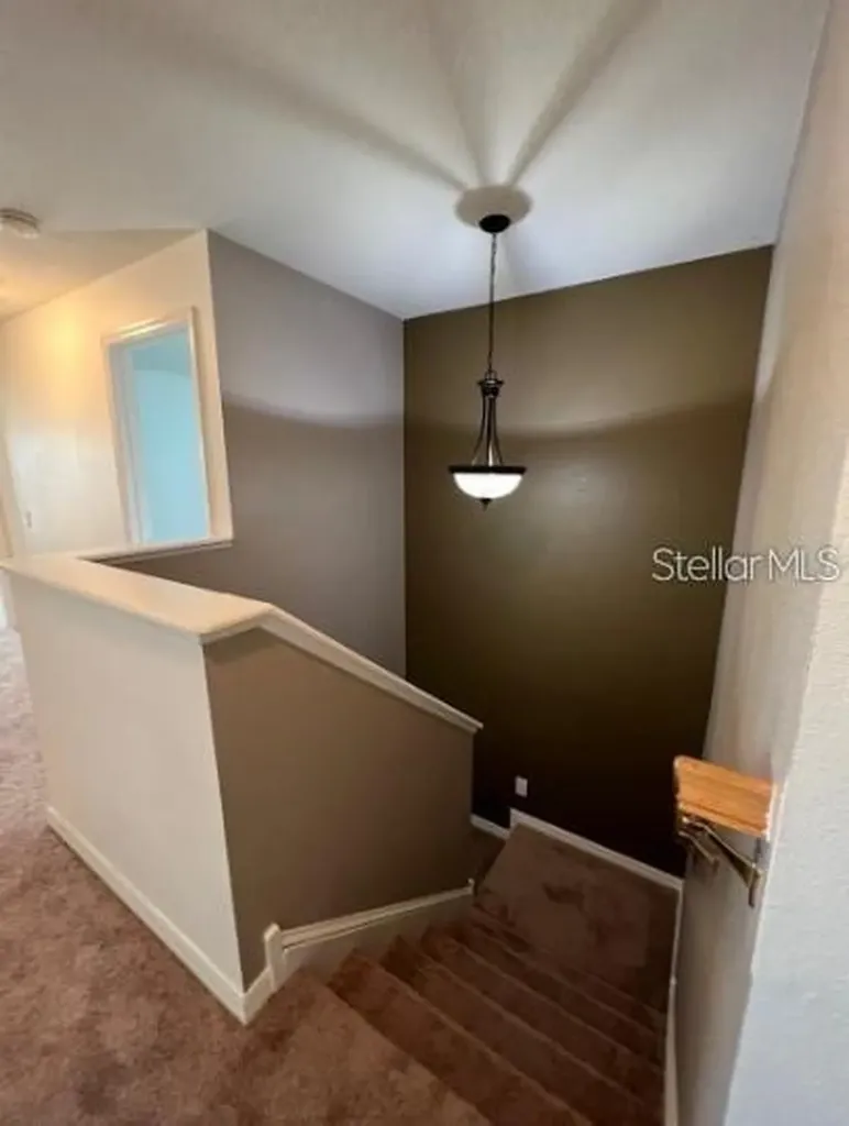 10216 Dolce Vista Drive NE St Petersburg FL 33702