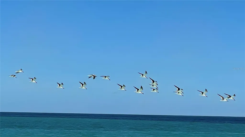 Coral Circle Fort Pierce FL 34949