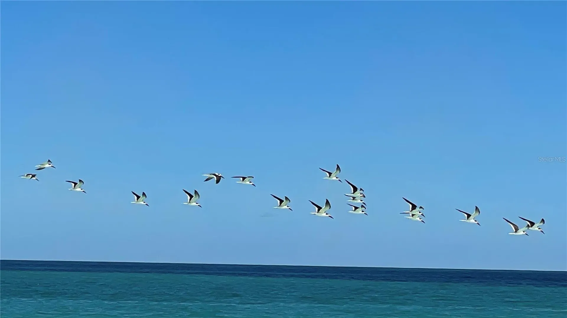 Coral Circle Fort Pierce FL 34949