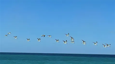 Coral Circle Fort Pierce FL 34949