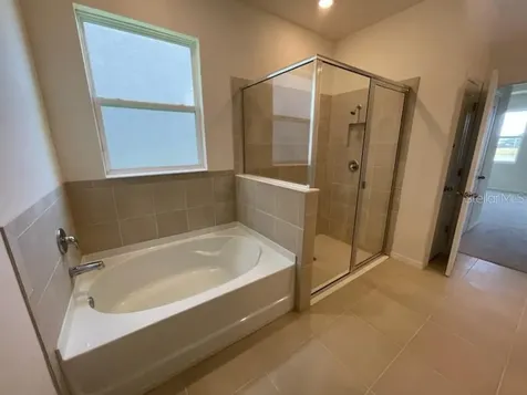 16634 Mooner Plank Circle Wimauma FL 33598