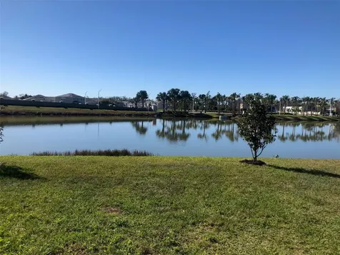 16634 Mooner Plank Circle Wimauma FL 33598