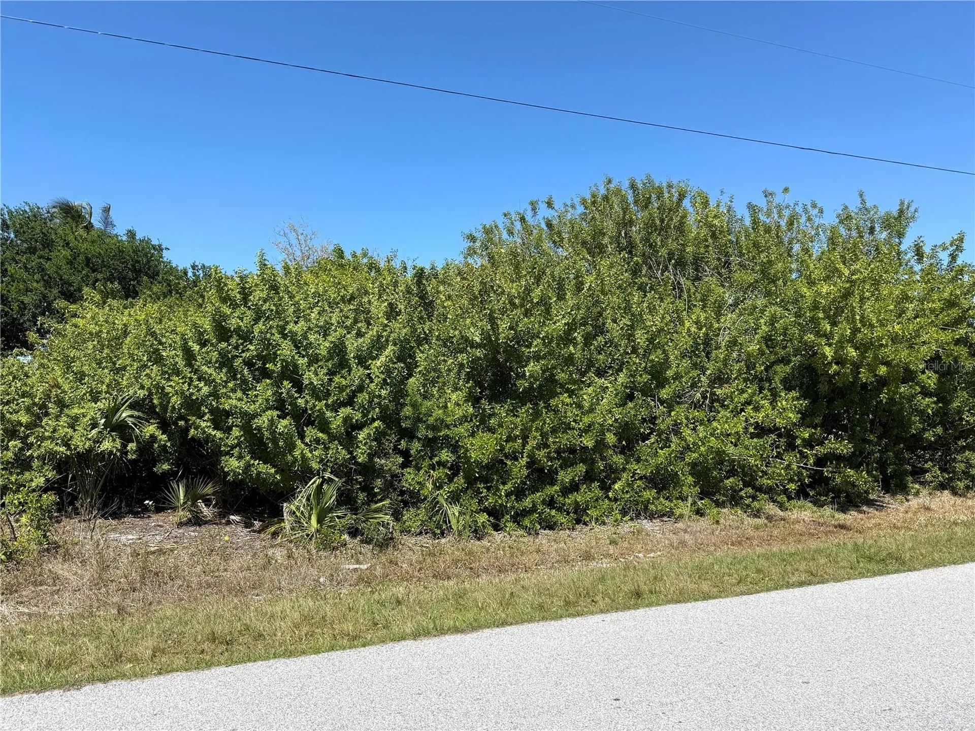 9180 Spring Circle Port Charlotte FL 33981