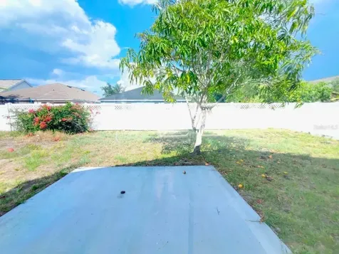 1409 Delano Trent Street Ruskin FL 33570