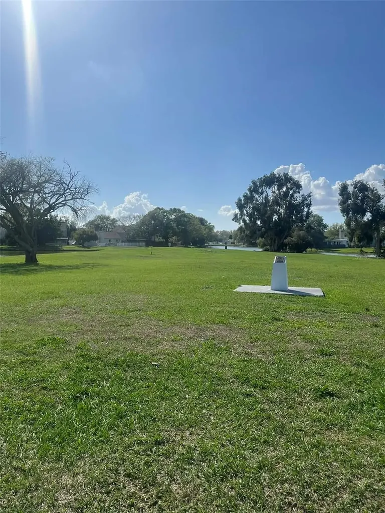 Tampa FL 33624
