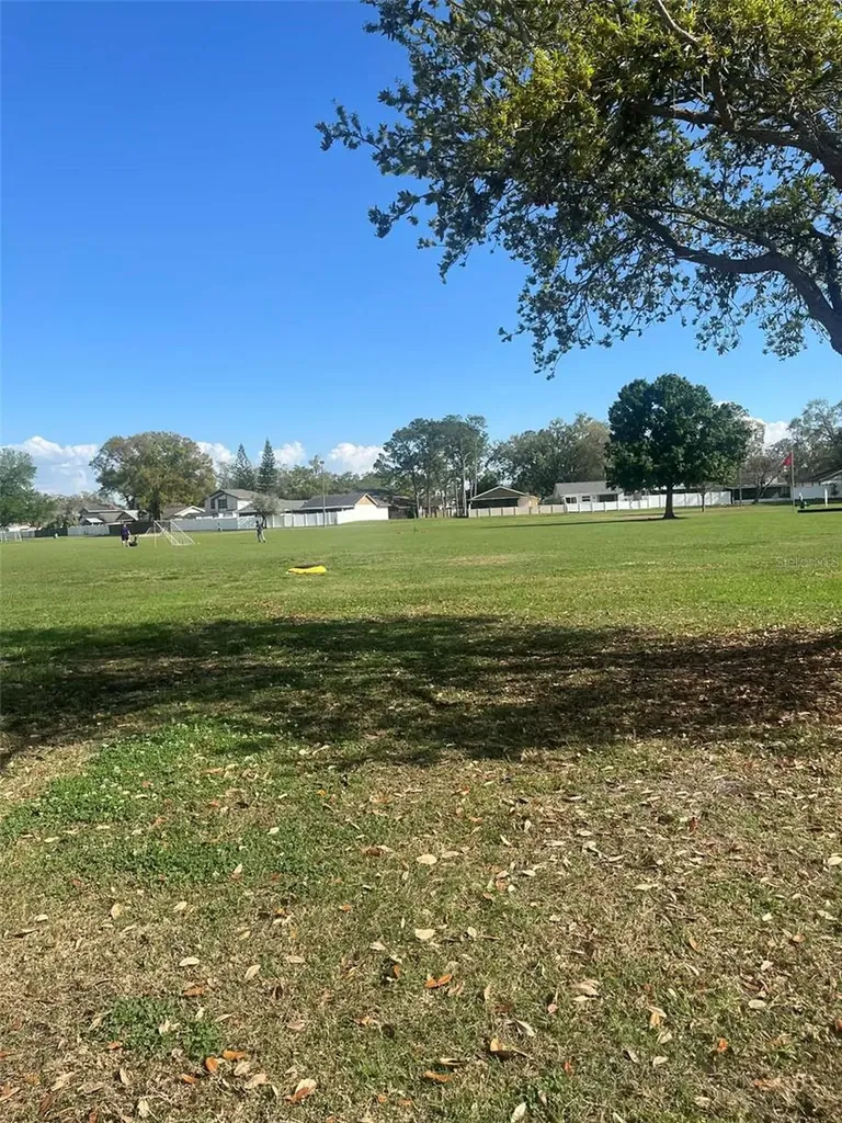 Tampa FL 33624
