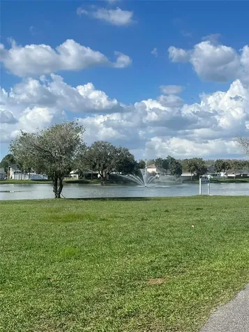 Tampa FL 33624