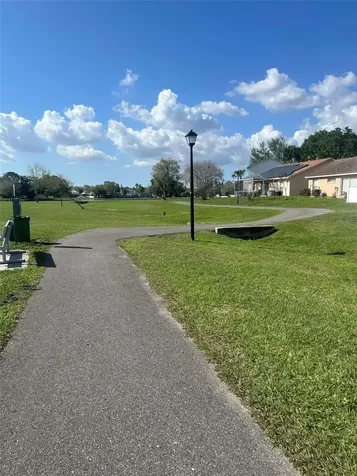 Tampa FL 33624