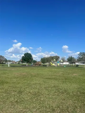 Tampa FL 33624