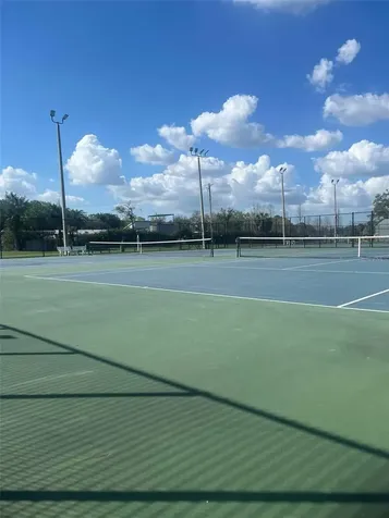 Tampa FL 33624