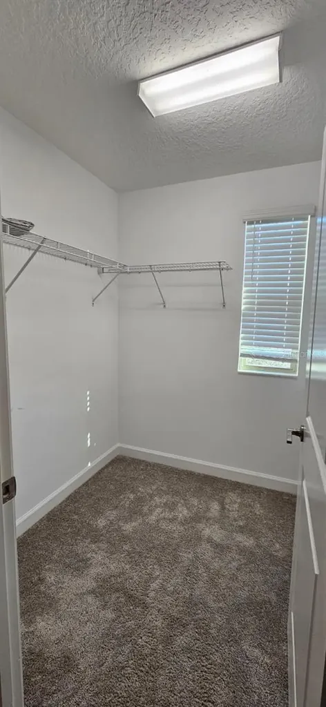 6220 Windship Court Tampa FL 33647