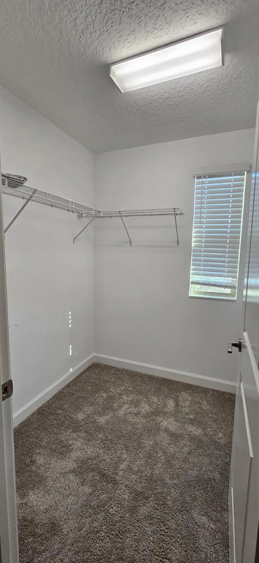 6220 Windship Court Tampa FL 33647