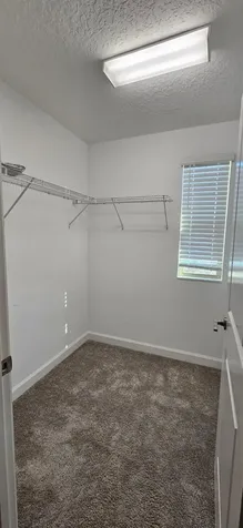 6220 Windship Court Tampa FL 33647