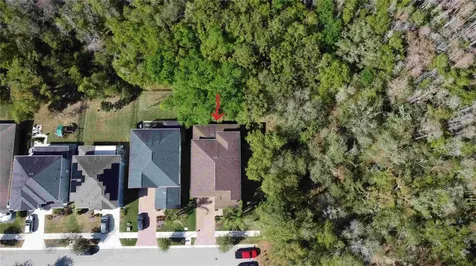 6220 Windship Court Tampa FL 33647