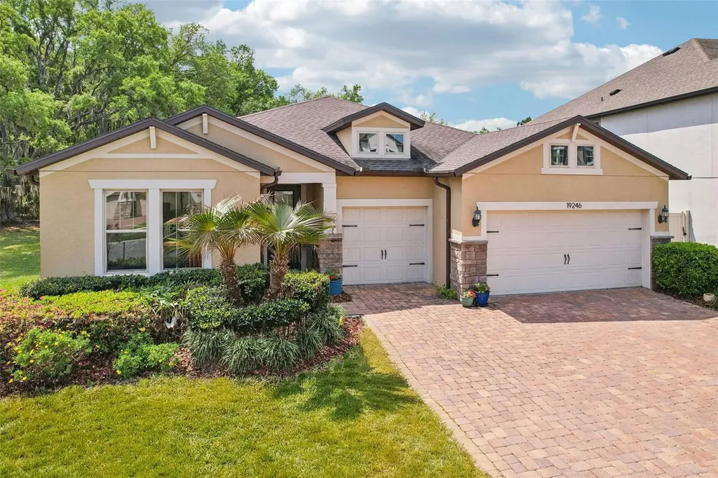 19246 Briarbrook Drive Tampa FL 33647
