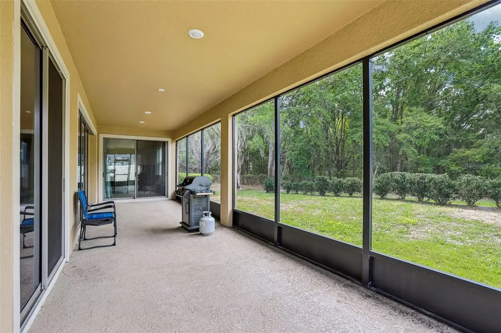19246 Briarbrook Drive Tampa FL 33647