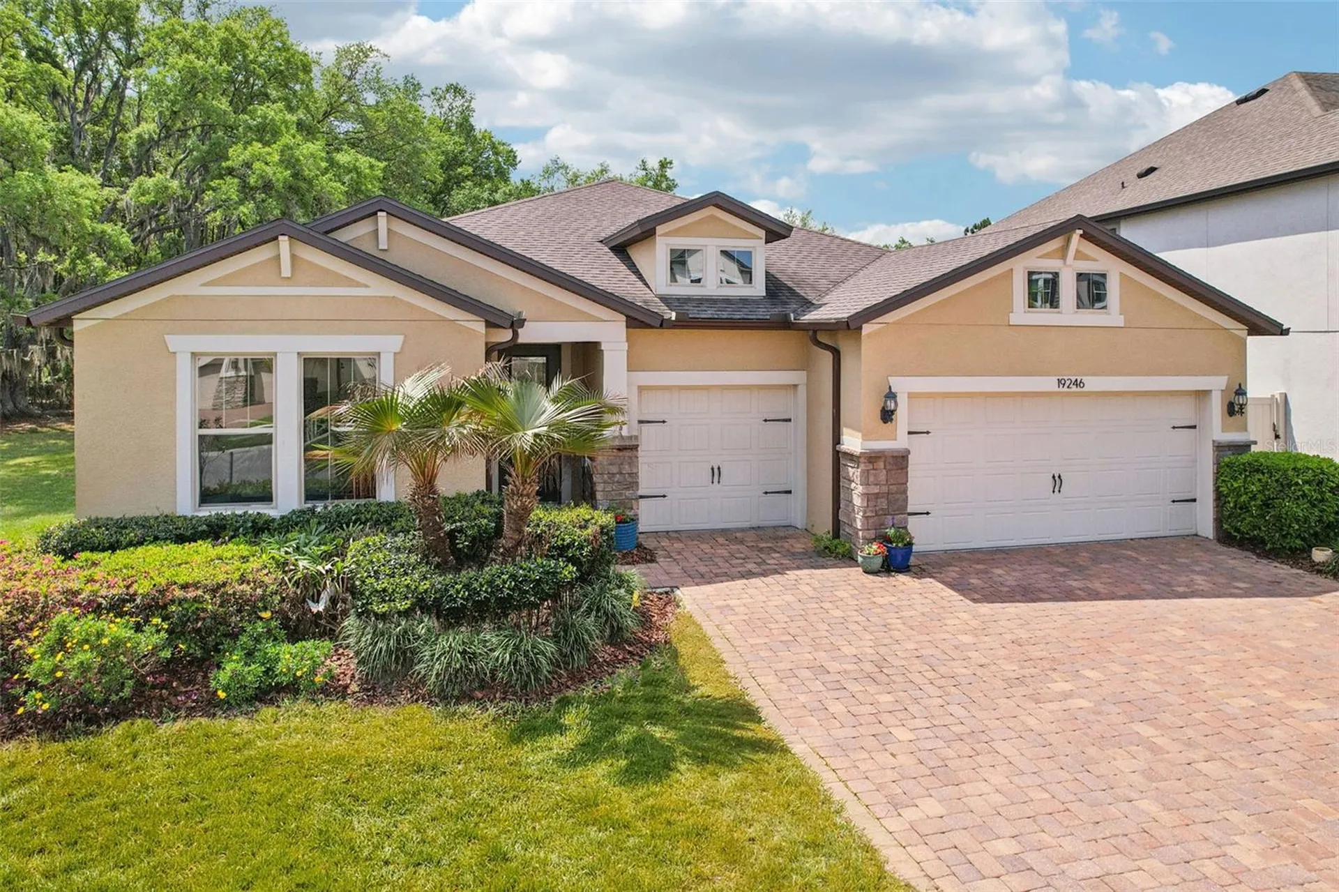 19246 Briarbrook Drive Tampa FL 33647