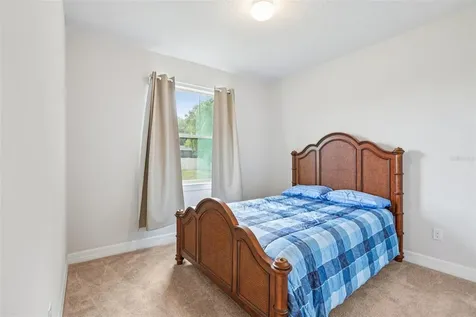 19246 Briarbrook Drive Tampa FL 33647