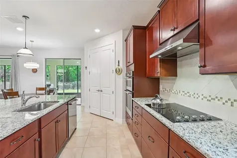 19246 Briarbrook Drive Tampa FL 33647