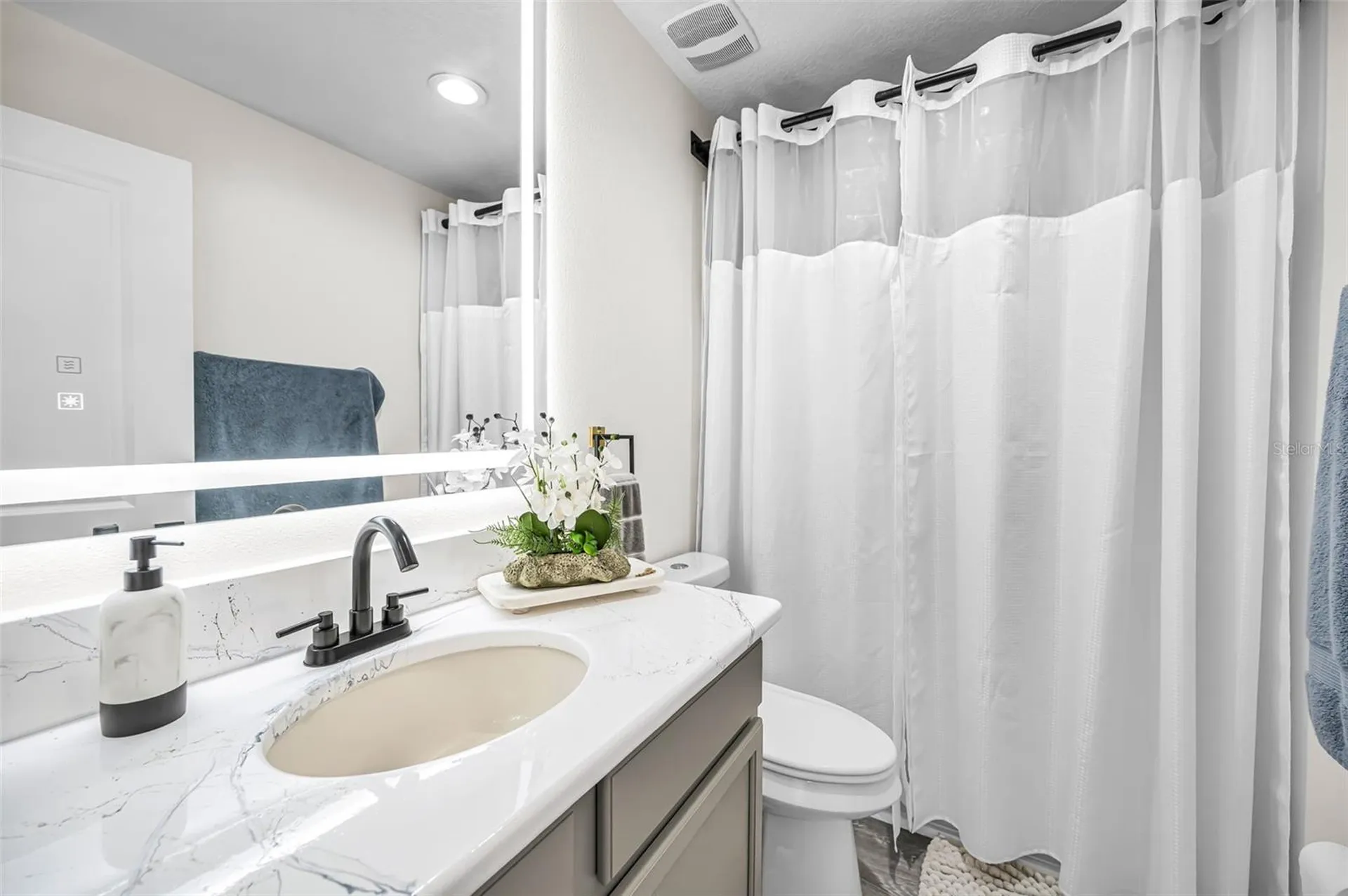 11922 Frost Aster Drive Riverview FL 33579