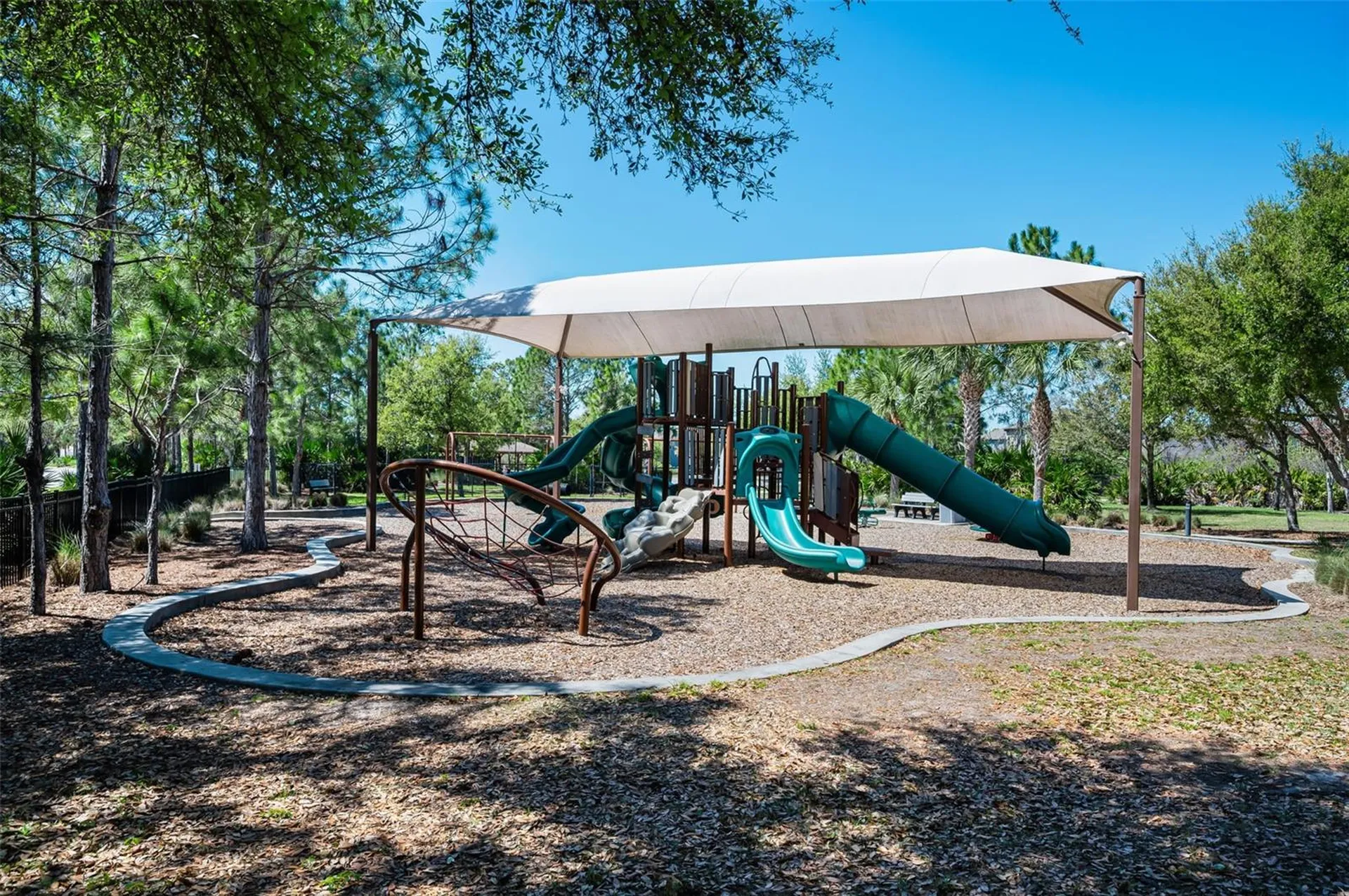 11922 Frost Aster Drive Riverview FL 33579