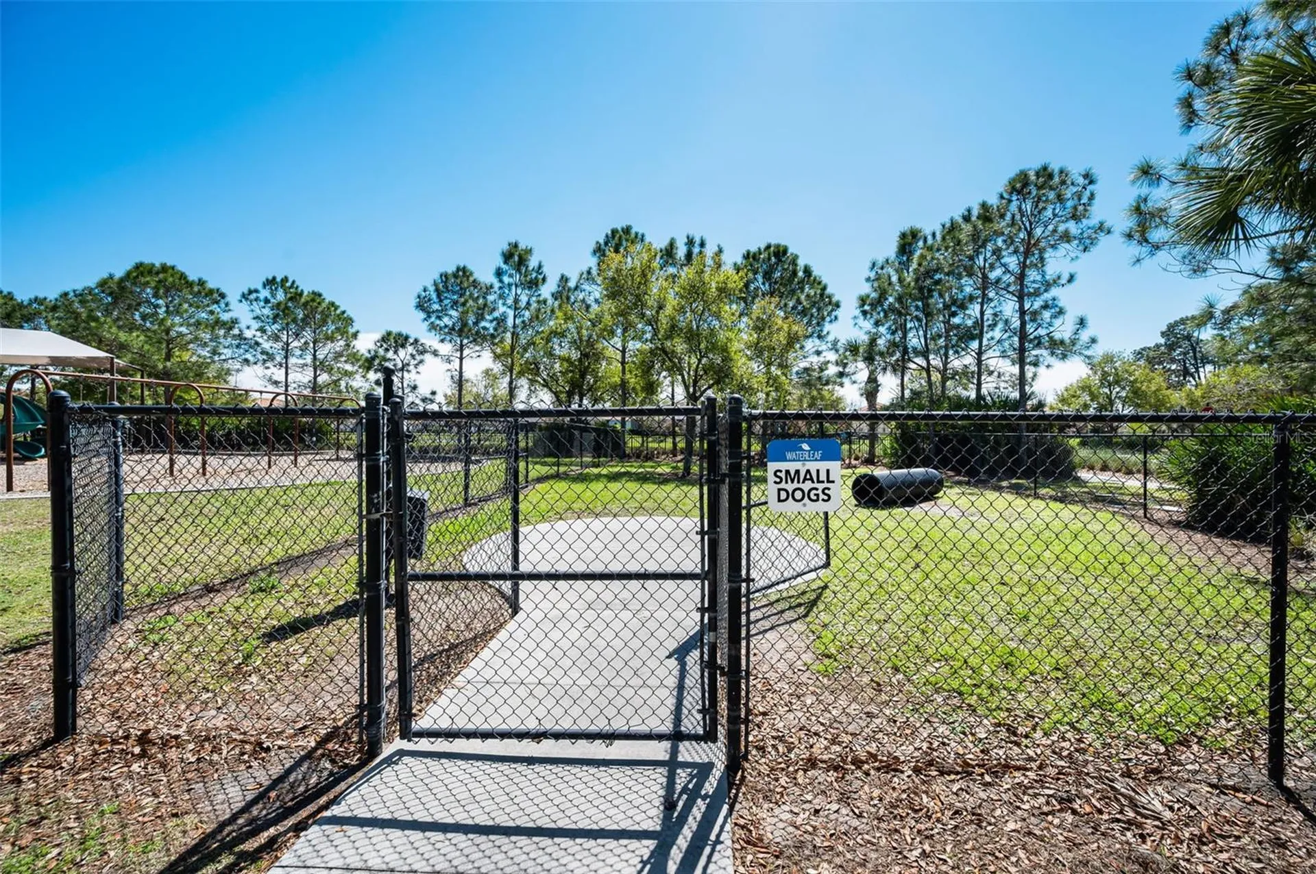 11922 Frost Aster Drive Riverview FL 33579