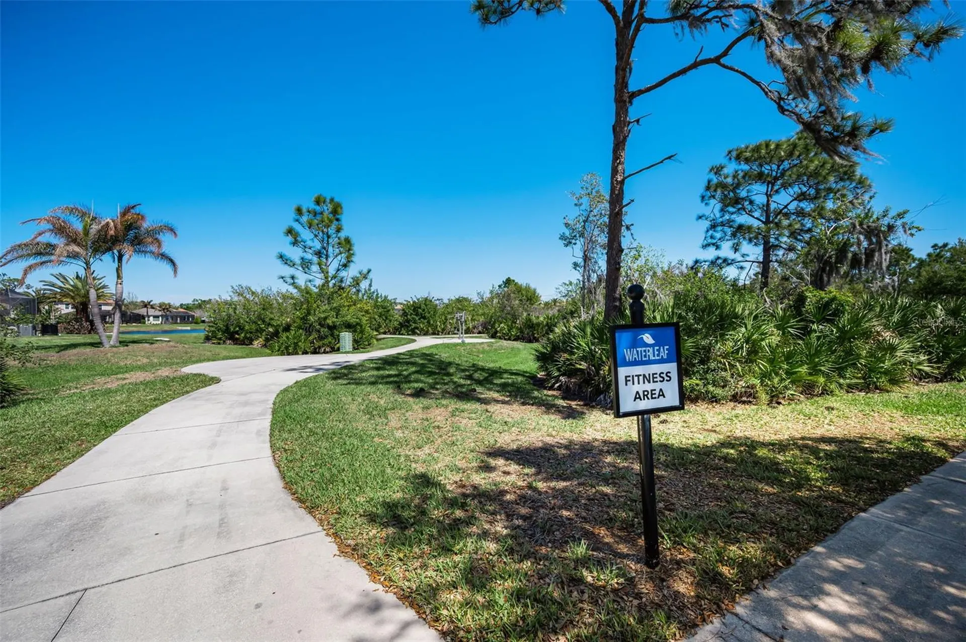 11922 Frost Aster Drive Riverview FL 33579