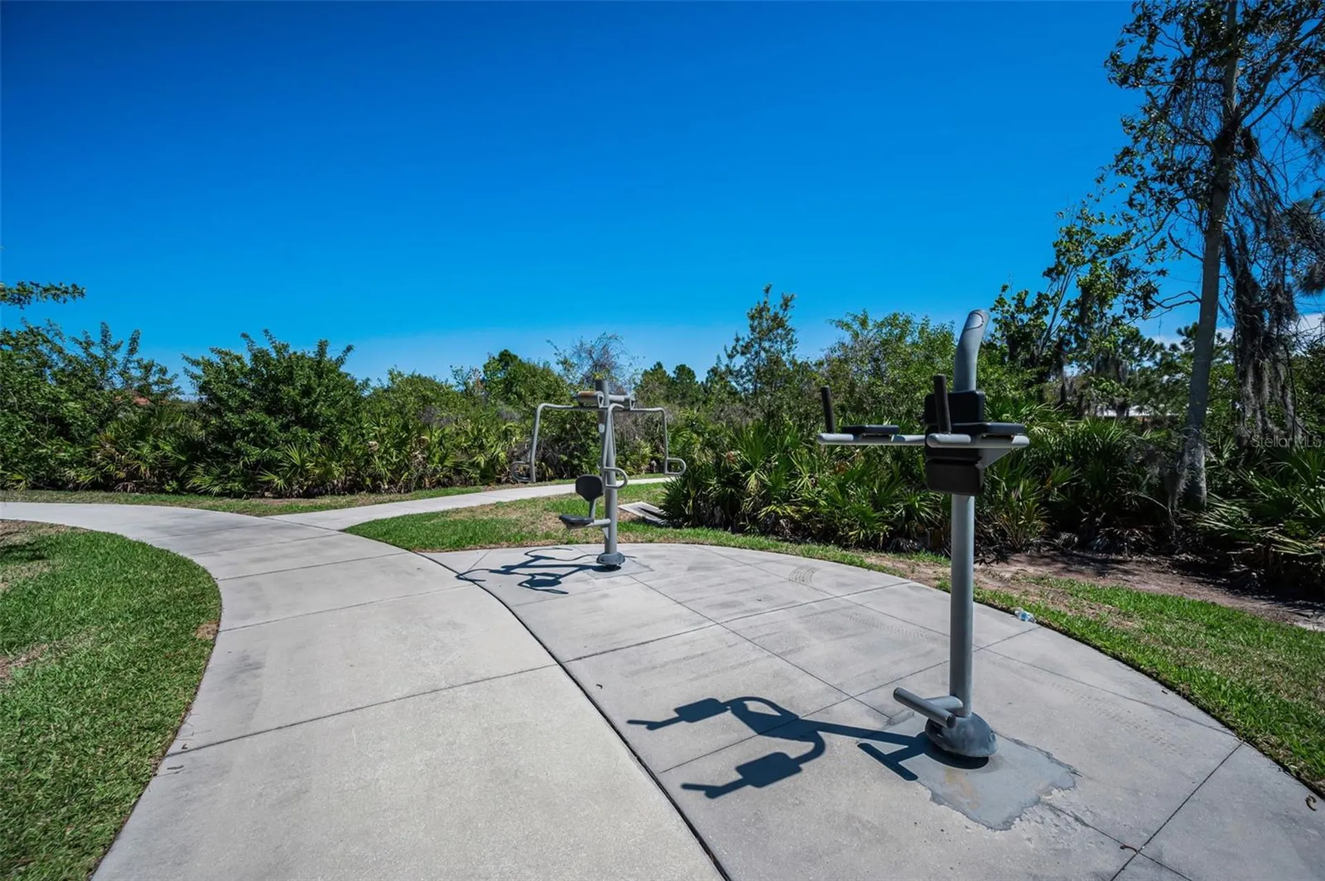 11922 Frost Aster Drive Riverview FL 33579