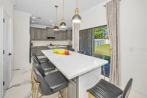 11922 Frost Aster Drive Riverview FL 33579
