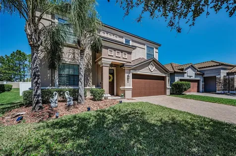 11922 Frost Aster Drive Riverview FL 33579