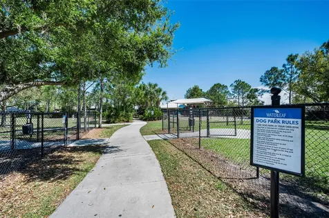 11922 Frost Aster Drive Riverview FL 33579